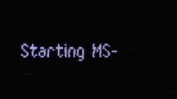 Начало: хиппи из Калифорнии, Носик и лихие 90-е